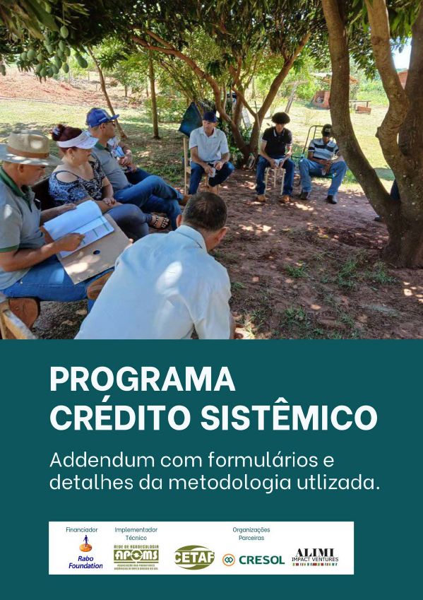 New Report - Systemic Credit Program - Addendum with Forms and Details of the Methodology Used - PTBR