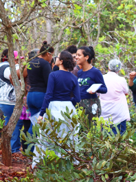 Cerrado Circular Program